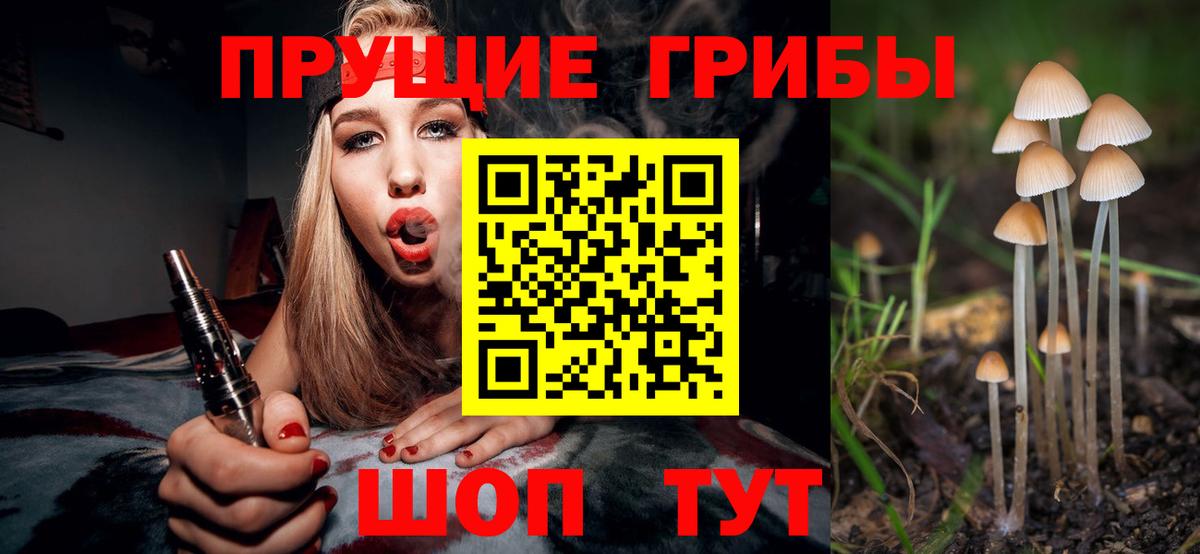 Южноуральск  Псилоцибиновые грибы Cubensis  сколько стоит  Вход с VPN 